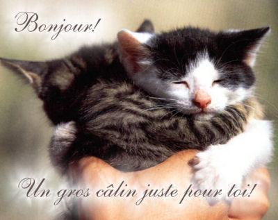 bonjour dans autre 19096210