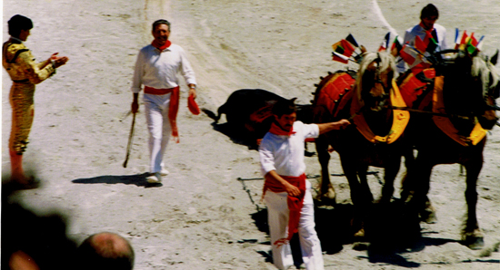 tauromachie,corrida,