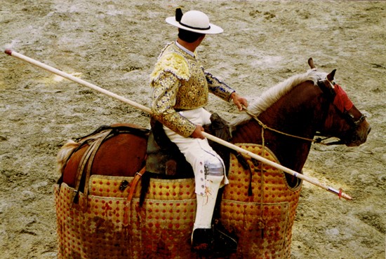 tauromachie,corrida,