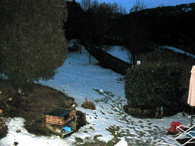 img_5010.jpg