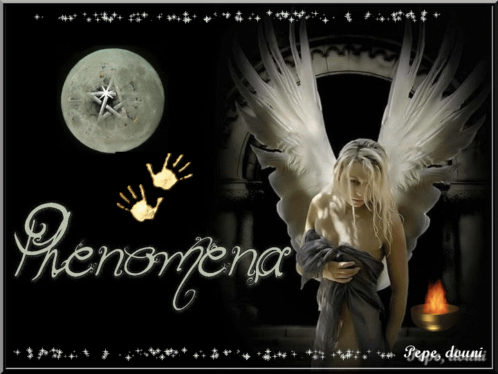 Bienvenue sur Phenomena !!