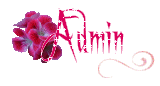 Admin Admin