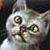 No new posts No new posts