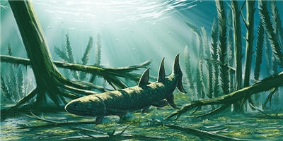 414a_devonian.jpg 320×240 pixels | Prehistoric Fish-Amphibians ...