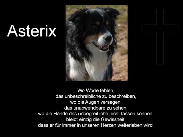 Kostenfreier Download Abschied Vom Hund Sprüche Online