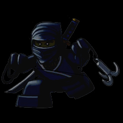 ninjar10.jpg