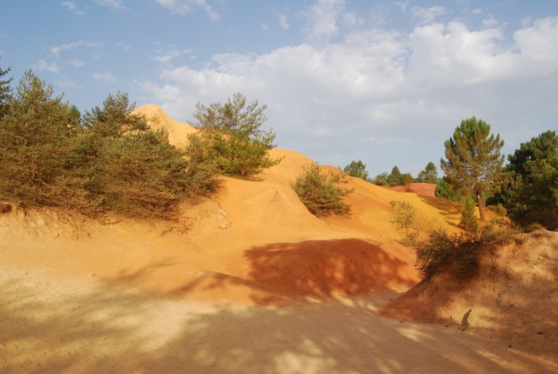 dunes11.jpg