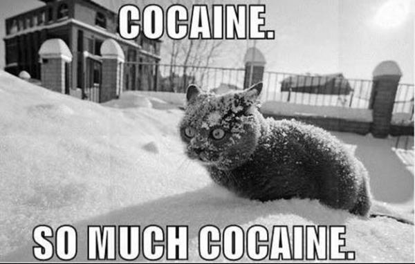 cocain10.jpg