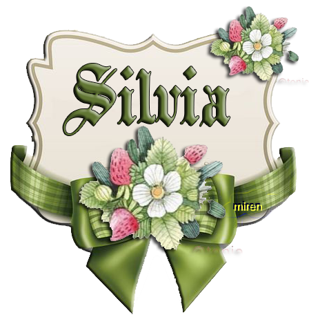 silvia11.png